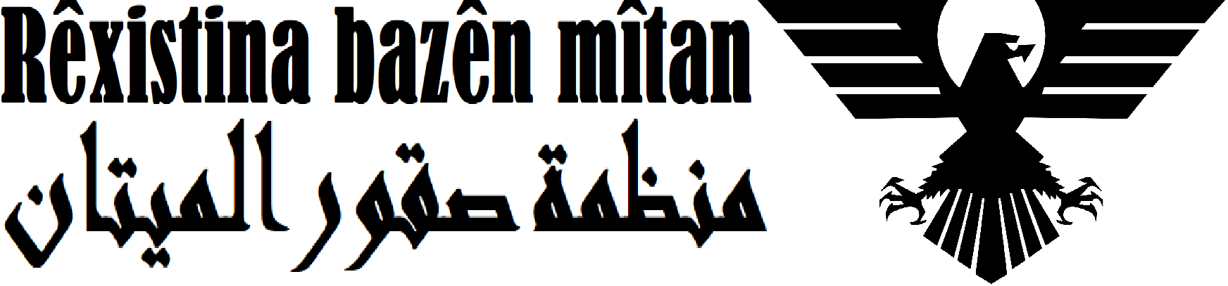 منظمة صقور  الميتان